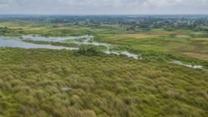 Floodplain grassland and wetlands transitioning toward settled land near Kaziranga