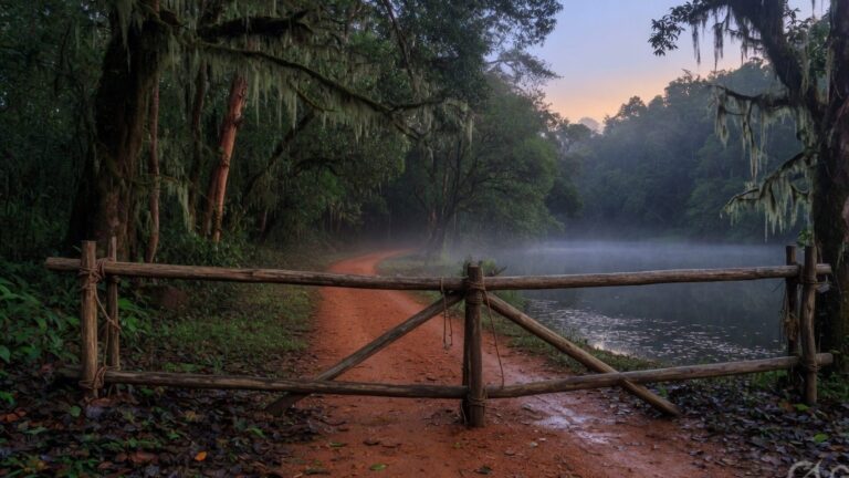 A closed wooden forest barrier across an empty jeep track in a misty evergreen Western Ghats forest beside a still lake