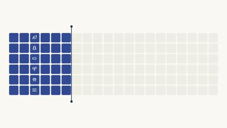 A field of one hundred and twenty equal cells with thirty per cent of them conserved and carrying habitat glyphs, separated from the unprotected remainder by a threshold rule