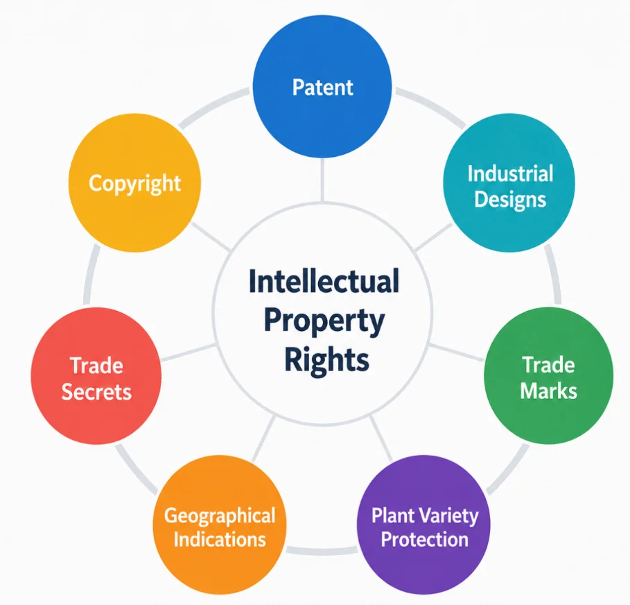 Major types of intellectual property rights — from the Anantam IAS Mains QIP st-2 handout