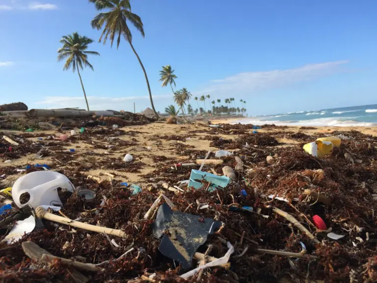 Plastic waste washed along a tide line
