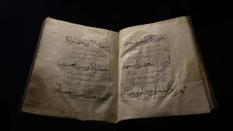 Aged manuscripts and bound volumes on a library shelf