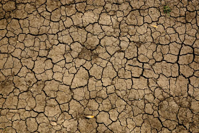 Cracked dry earth across a drought-hit field
