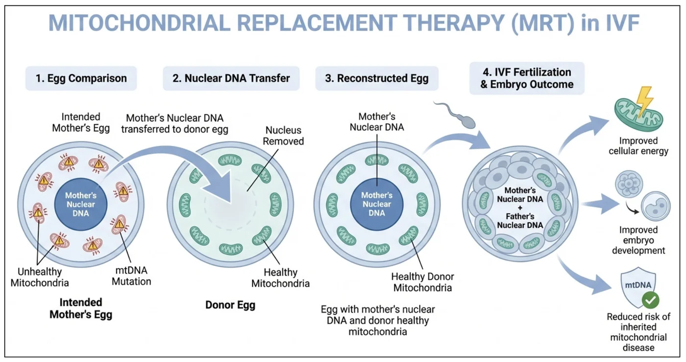Three-parent baby / Mitochondrial Replacement Therapy (MRT) — diagram from the Anantam IAS Mains QIP handout