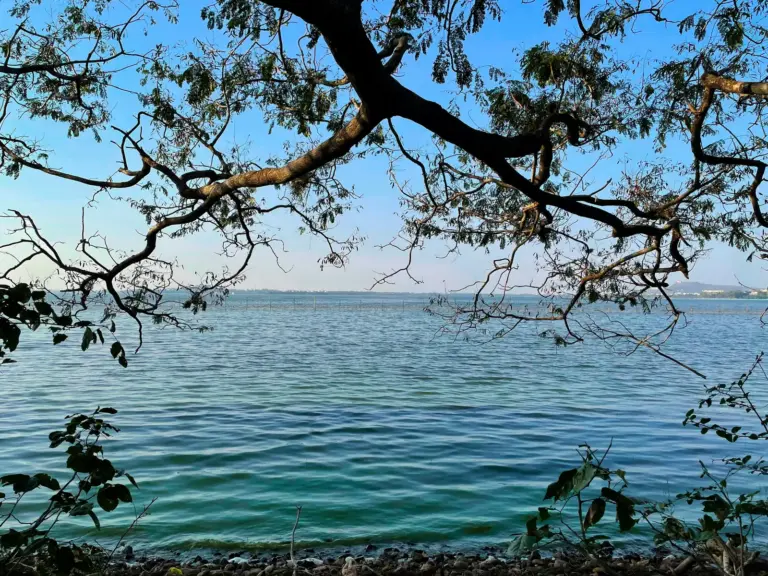 A wooded lakeside park path in central India