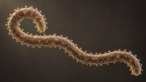 Conceptual illustration of a filamentous ebolavirus-like particle, without species-identifying detail