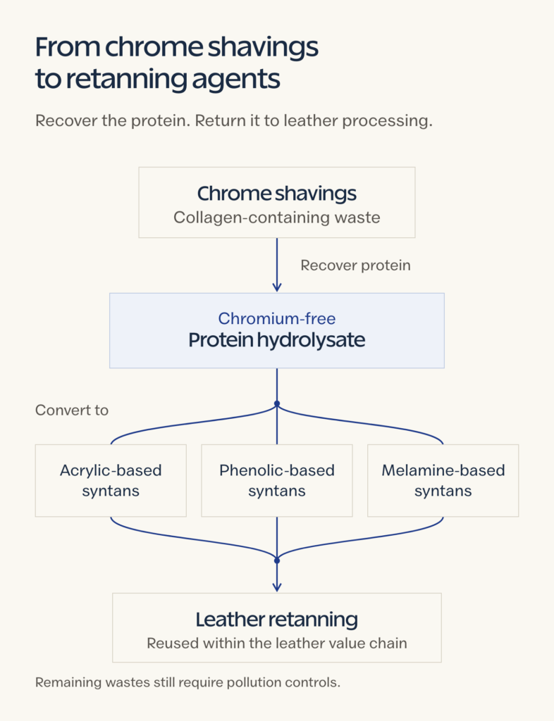 Chrome shavings yield chromium-free protein hydrolysate, which branches into acrylic-, phenolic- and melamine-based syntans used in leather retanning.