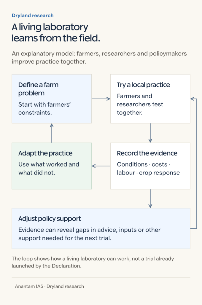 A learning cycle connects farm problems, local trials, evidence, adaptation and policy support