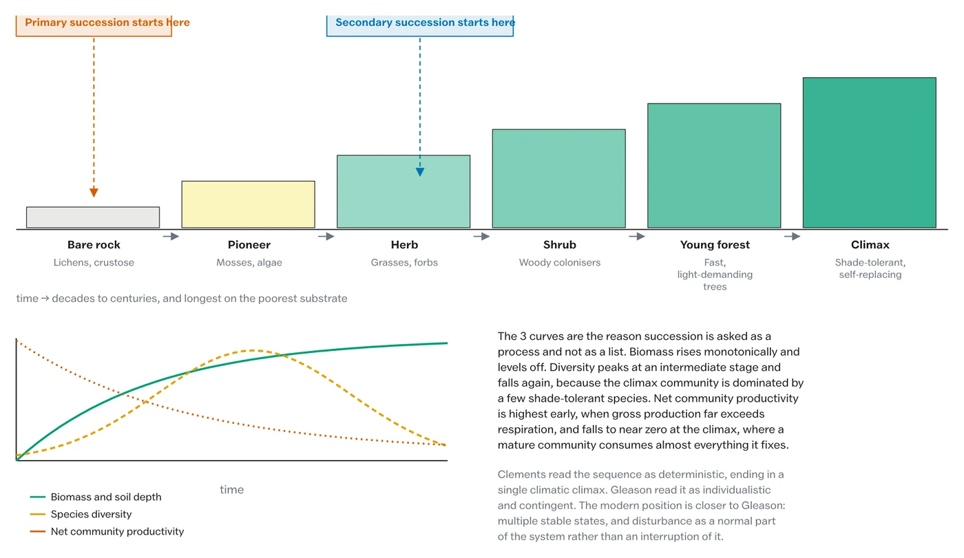 The successional sequence, and the biomass, diversity and productivity curves that run across it.
