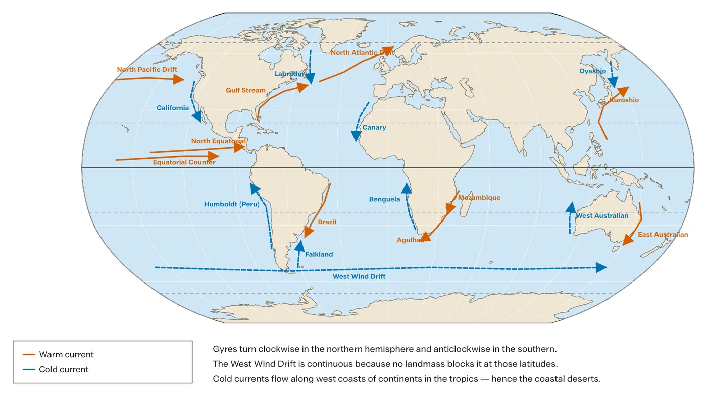 The world surface circulation: gyres, their intensified western limbs and the upwelling coasts.