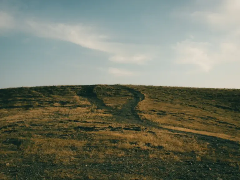 Two dirt paths diverging on a dry, grassy hill. Photo by Amirreza Taqavi on Unsplash via Unsplash.