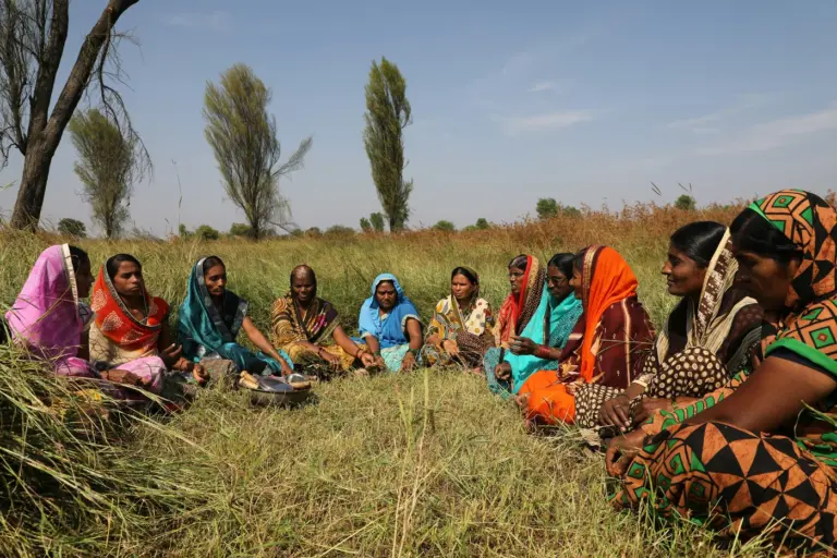 Village women in colorful saris sitting in a circle on a grassy field in Hingoli, Maharashtra
