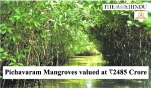Pichavaram Mangroves valued at ₹2485 Crore