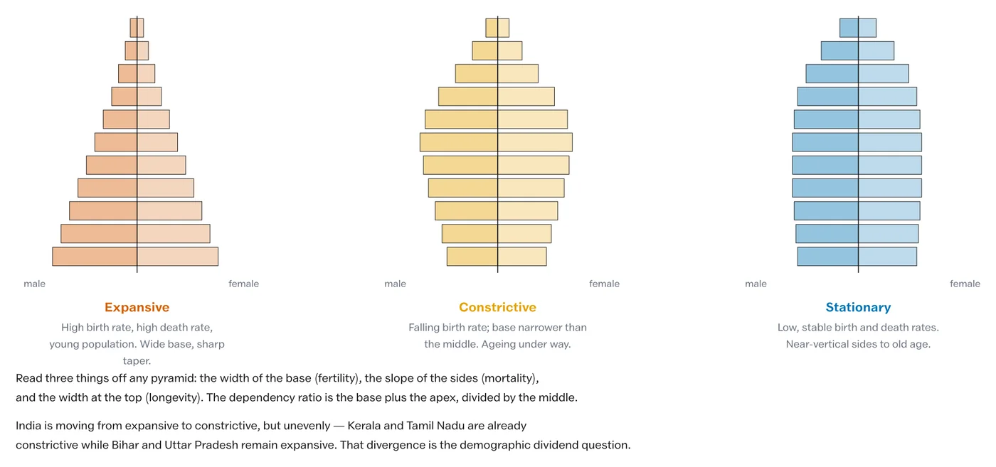 Expansive, constrictive and stationary pyramids, and what each records about fertility and mortality.