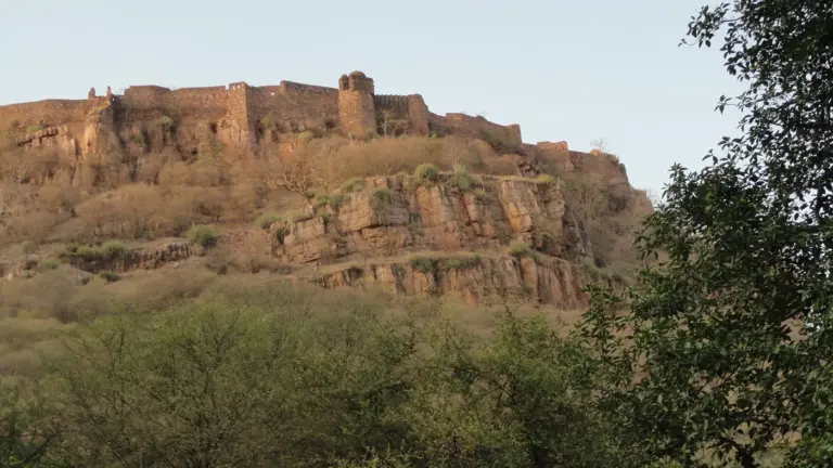 Crenellated walls and bastions of Ranthambore Fort along a rocky cliff top above dry forest in Sawai Madhopur, Rajasthan