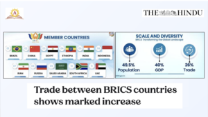 Trade between BRICS countries shows marked increase