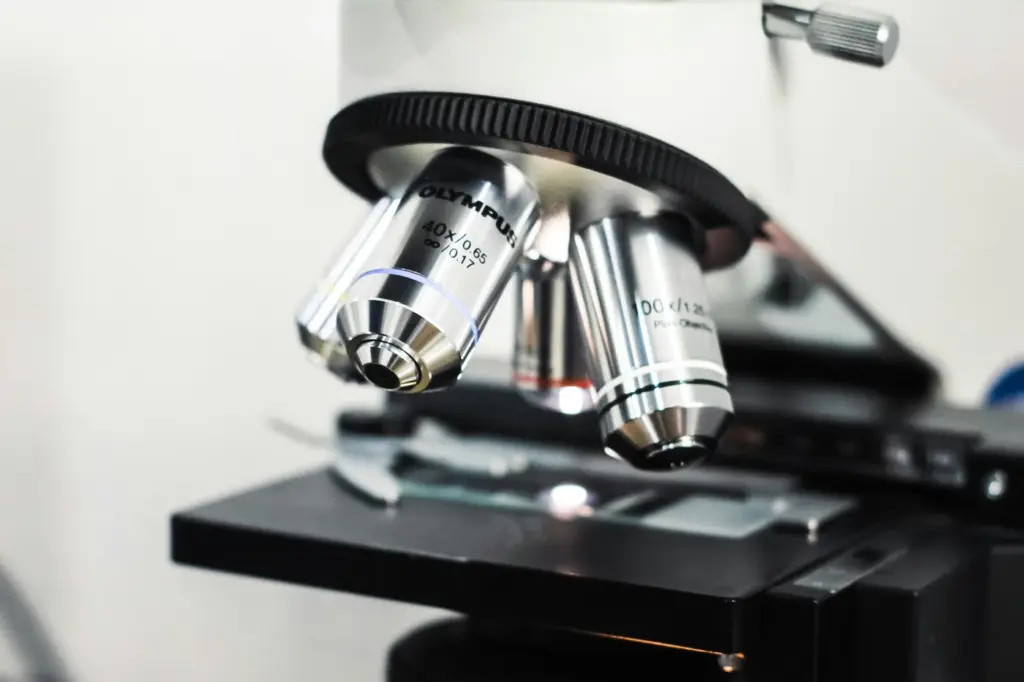 Microscope on a laboratory bench