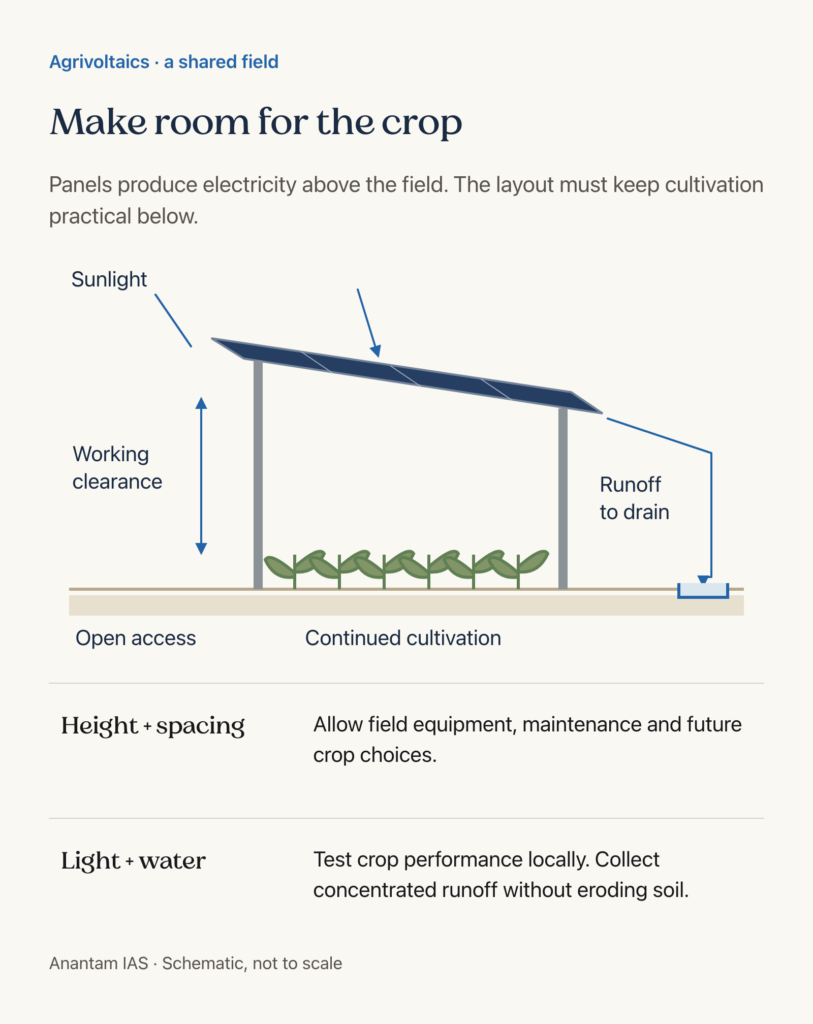 Spatial relationship of elevated panels, cultivation, working access and safe runoff collection.
