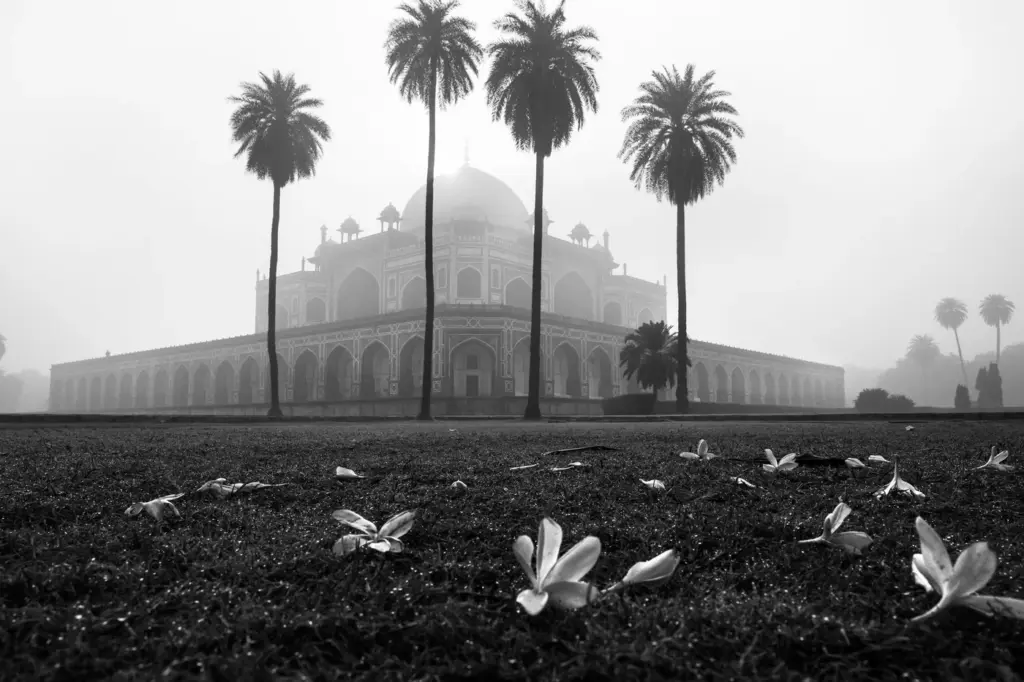 Humayun's Tomb in Delhi veiled in dense fog on a winter morning.