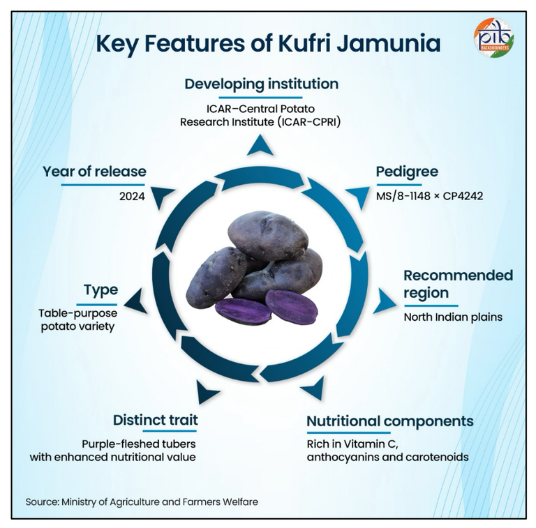 Kufri Jamunia