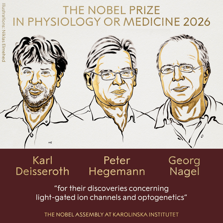 Nobel in Medicine