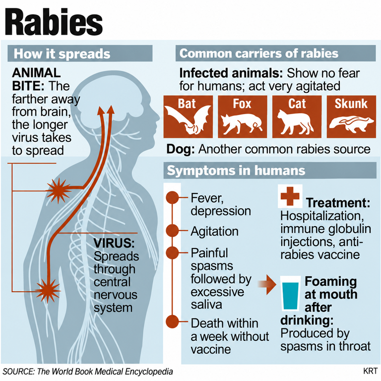 Rabies