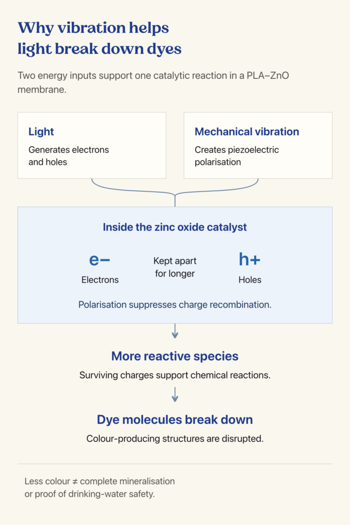 Diagram showing light and mechanical vibration supporting charge separation in zinc oxide, reactive-species formation and dye breakdown